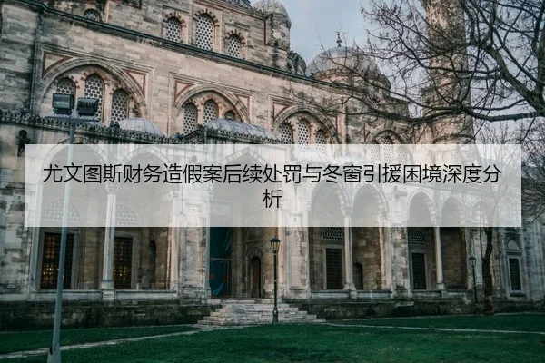 you-wen-tu-si-cai-wu-zao-jia-an-hou-xu-chu-fa-yu-dong-chuang-yin-yuan-kun-jing-shen-du-fen-xi-2-118.jpg