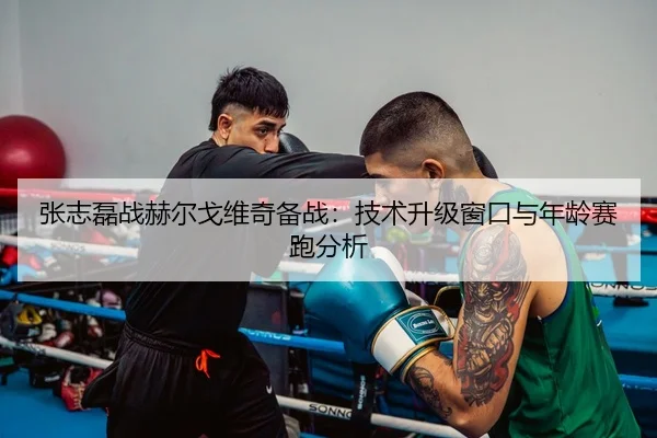 张志磊战赫尔戈维奇备战：技术升级窗口与年龄赛跑分析